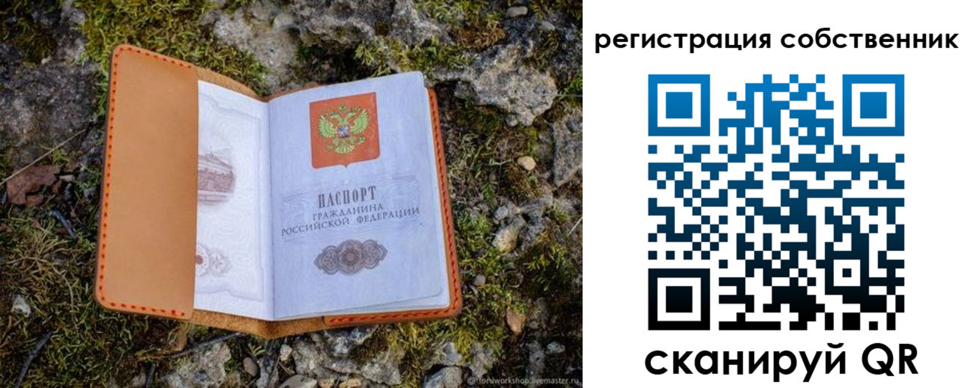 прописка поиск в Городце